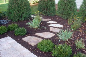 Walkways allow you to engage with your surroundings