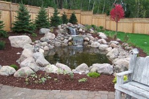 Treat your eyes and your ears with a  beautiful water feature