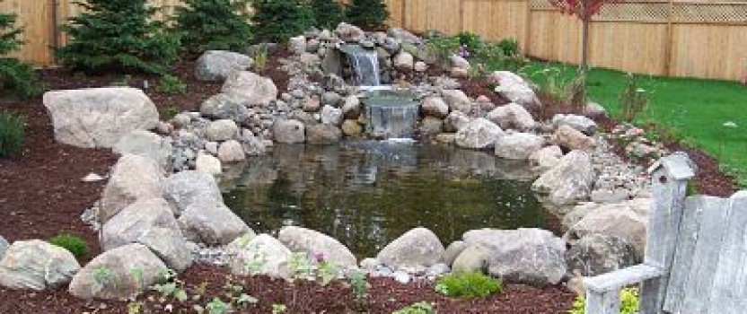 Treat your eyes and your ears with a  beautiful water feature